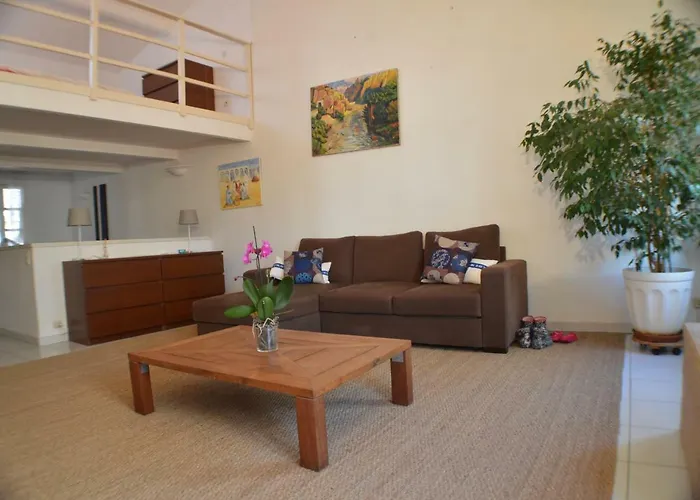 Studio Loft Avec Terrasse Centre Historique